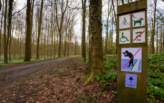 start hyacintenwandeling