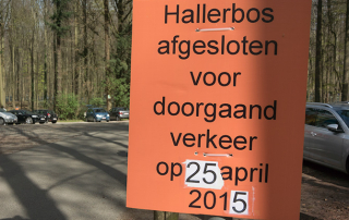 hallerbos hyacintenjogging 25 april 2015
