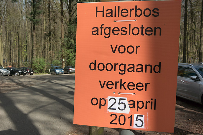 hallerbos hyacintenjogging 25 april 2015